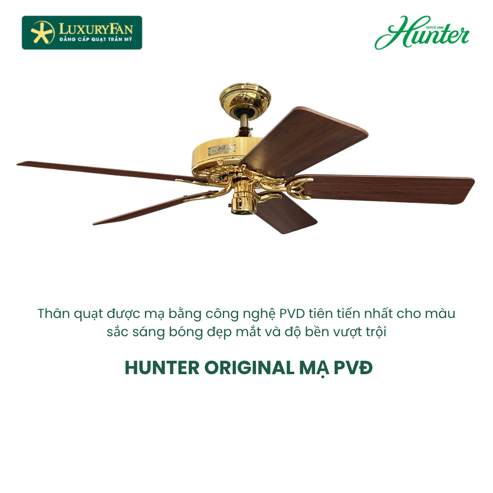 HUNTER ORIGINAL (2)