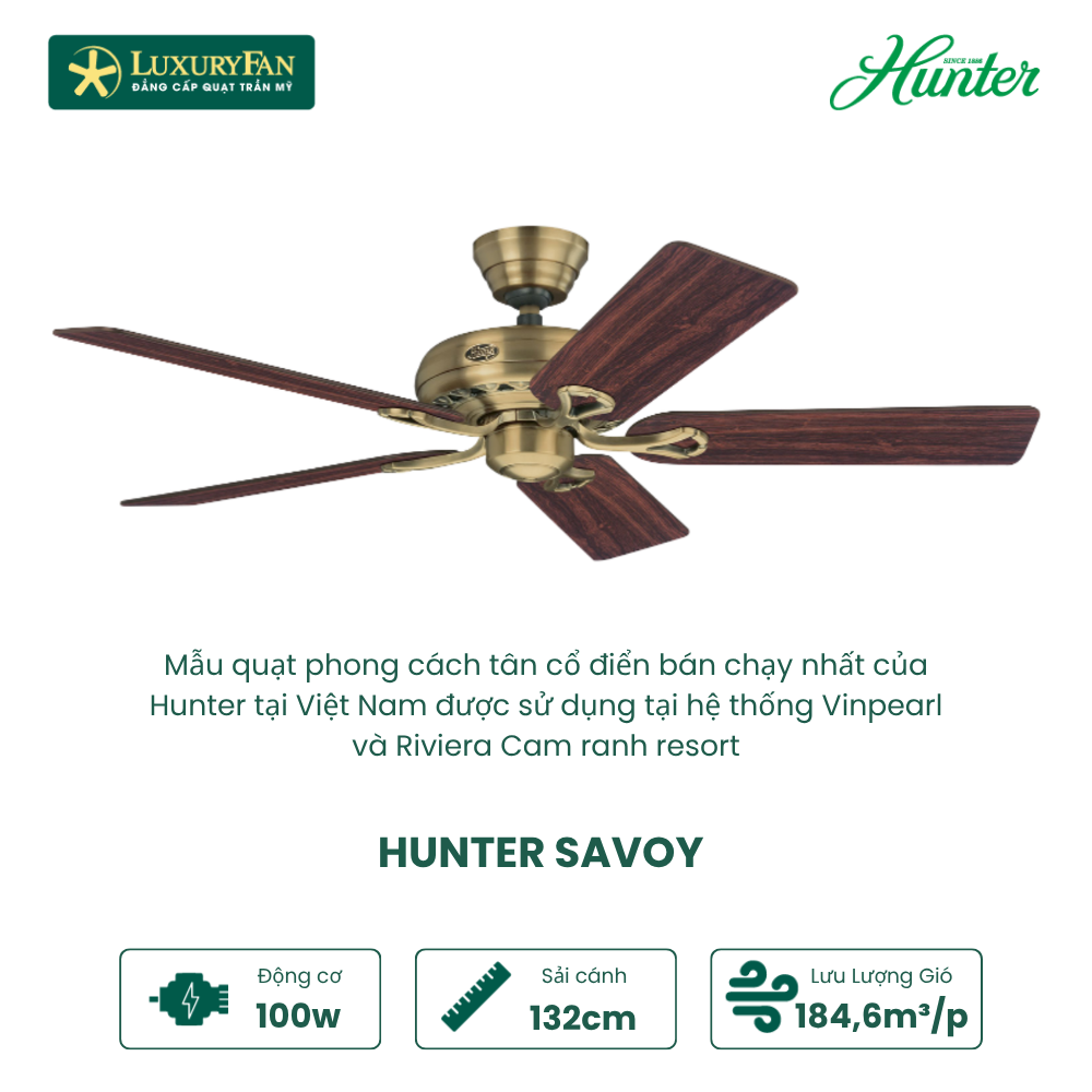 HUNTER SAVOY (2)