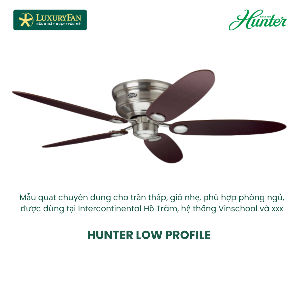 Hunter Low Profile