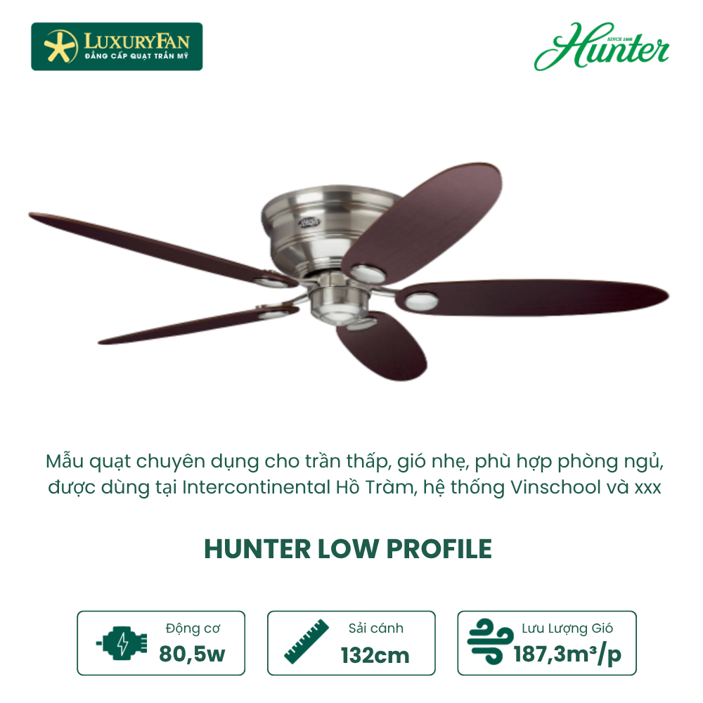Hunter Low Profile (2)