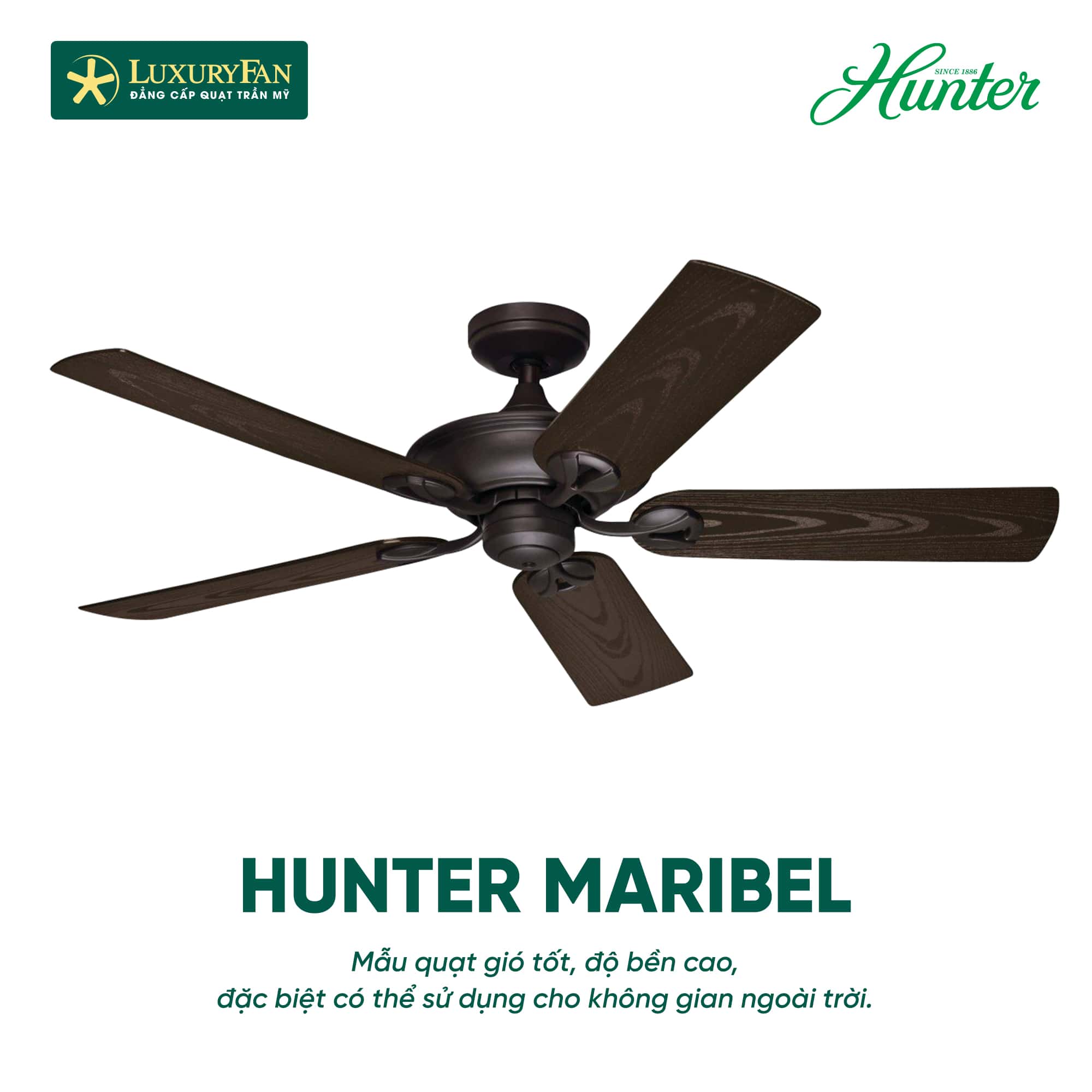 Quạt trần AC Hunter Maribel