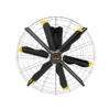 AIRFREE