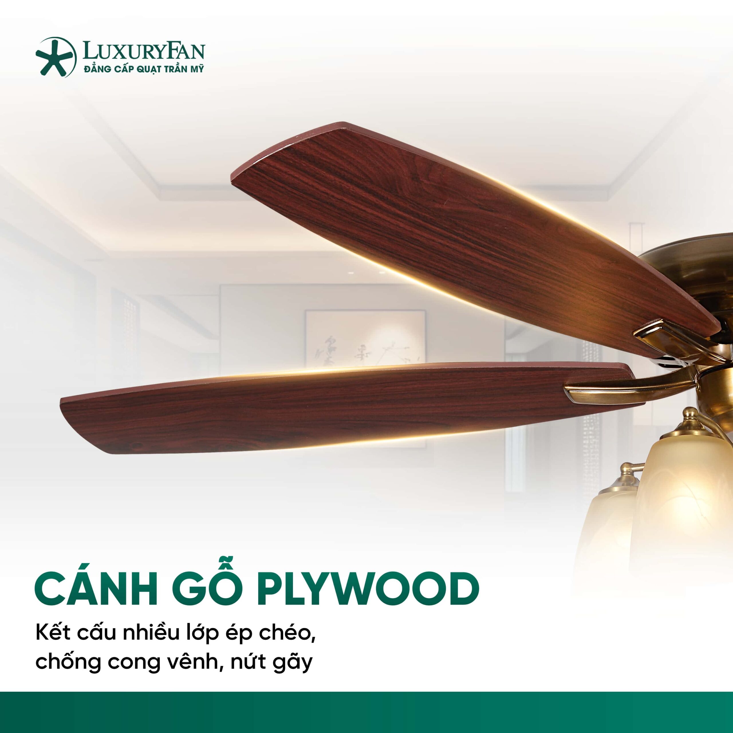 Chất liệu cao cấp, tỉ mỉ từng chi tiết