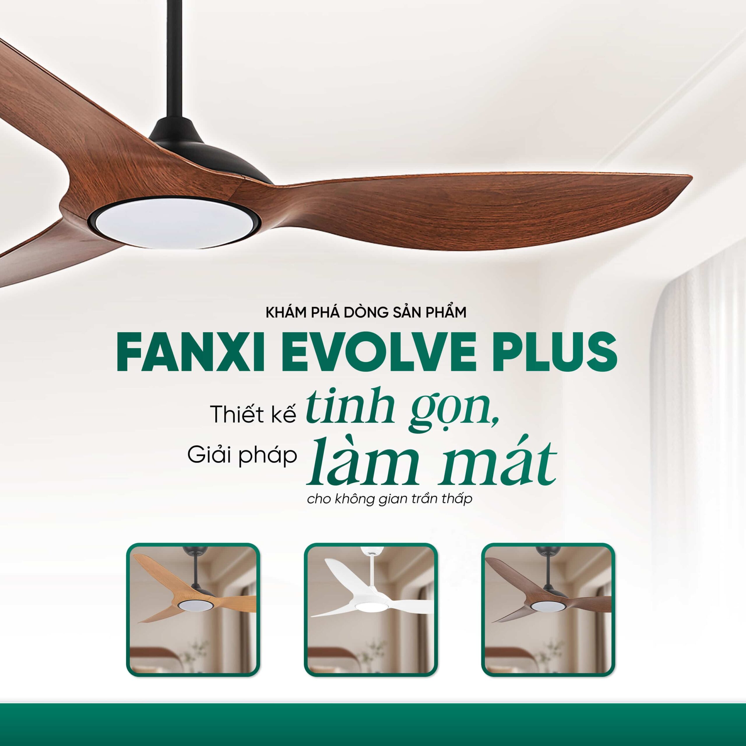 Fanxi Evolve Plus tối ưu cho không gian hiện đại