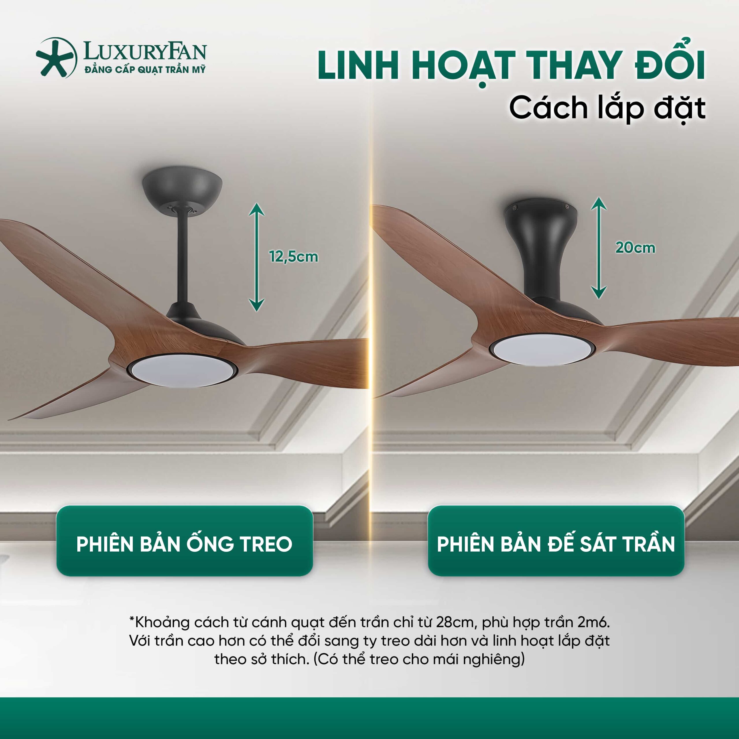 Linh hoạt lắp đặt với 2 phiên bản đế