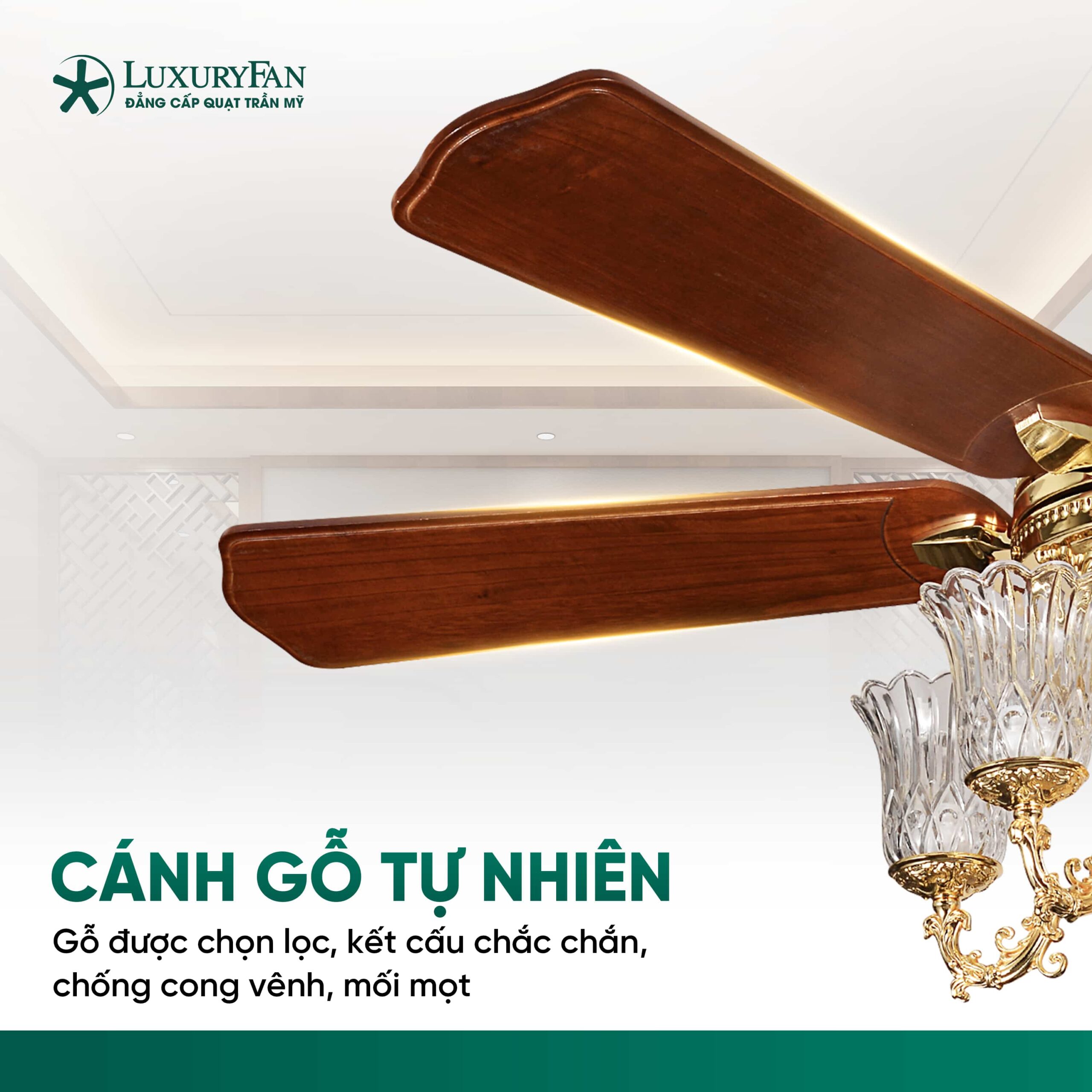 Cánh gỗ tự nhiên chắc chắn, dày dặn