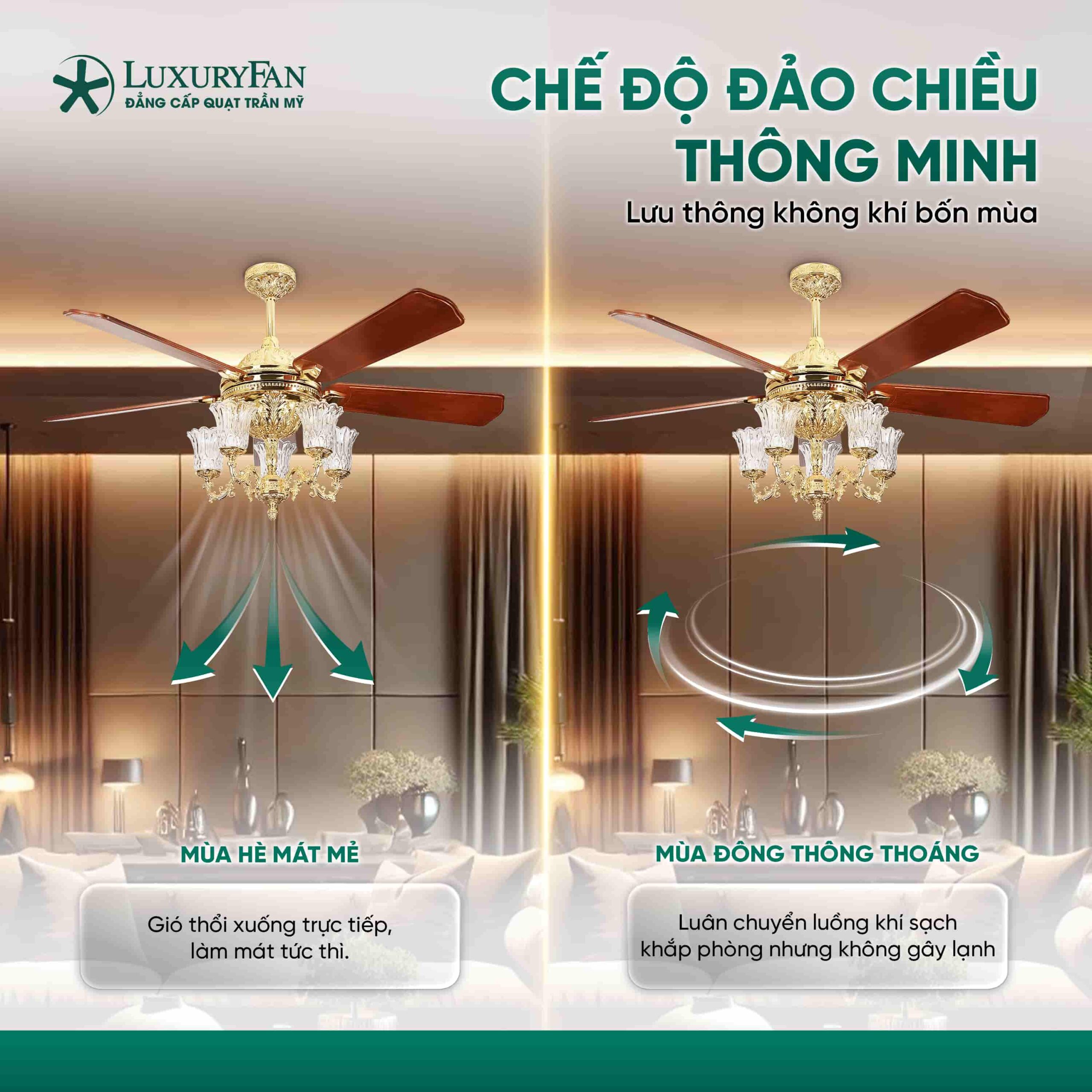 Chế độ đảo chiều thông minh