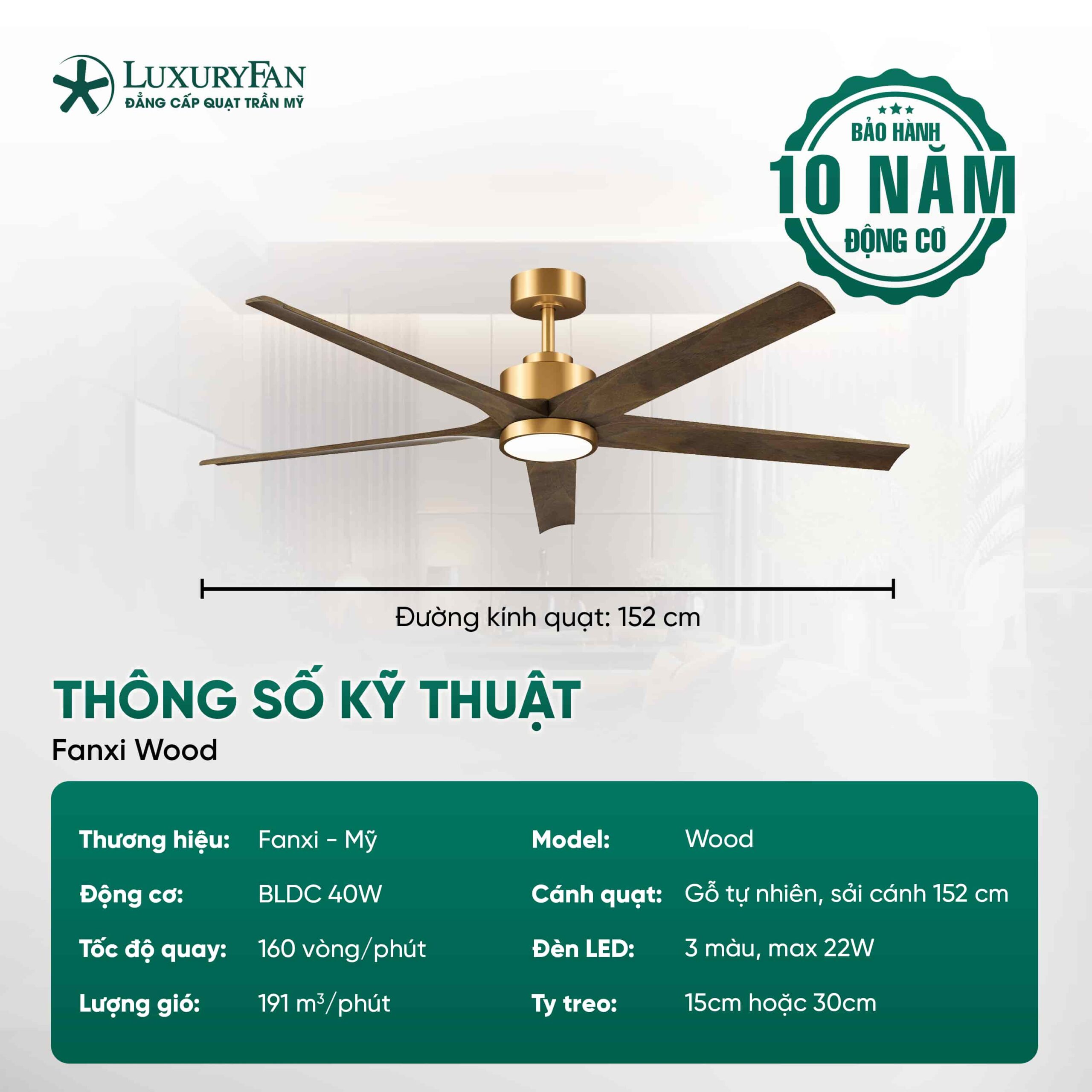 Thông số kỹ thuật Fanxi Wood GO