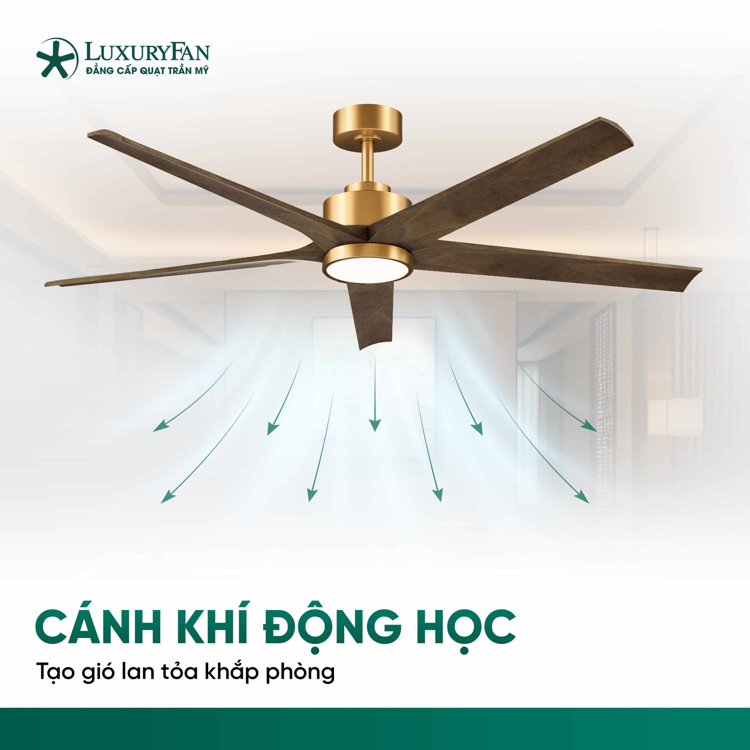 Thiết kế cánh khí động học