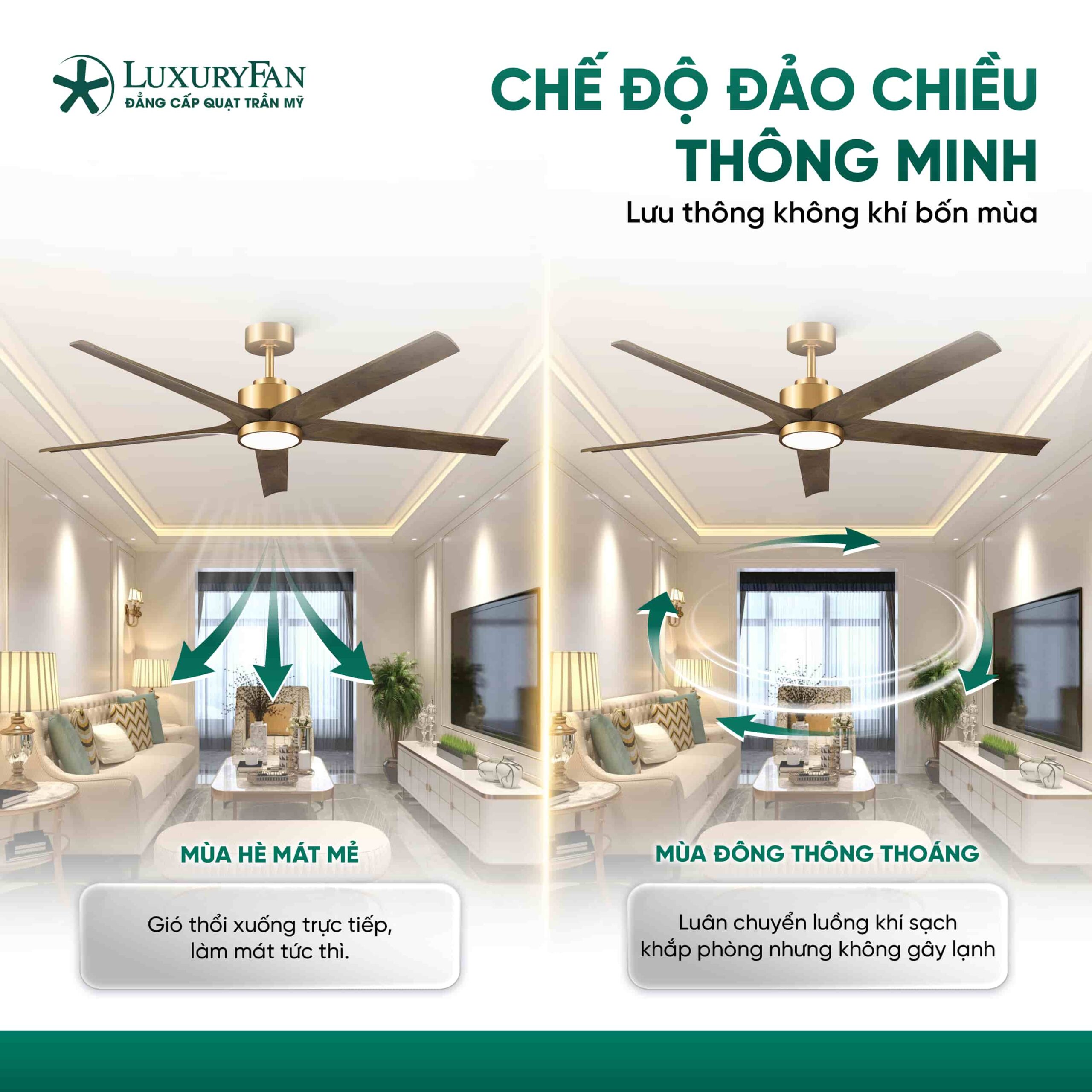 Chế độ đảo chiều thông minh