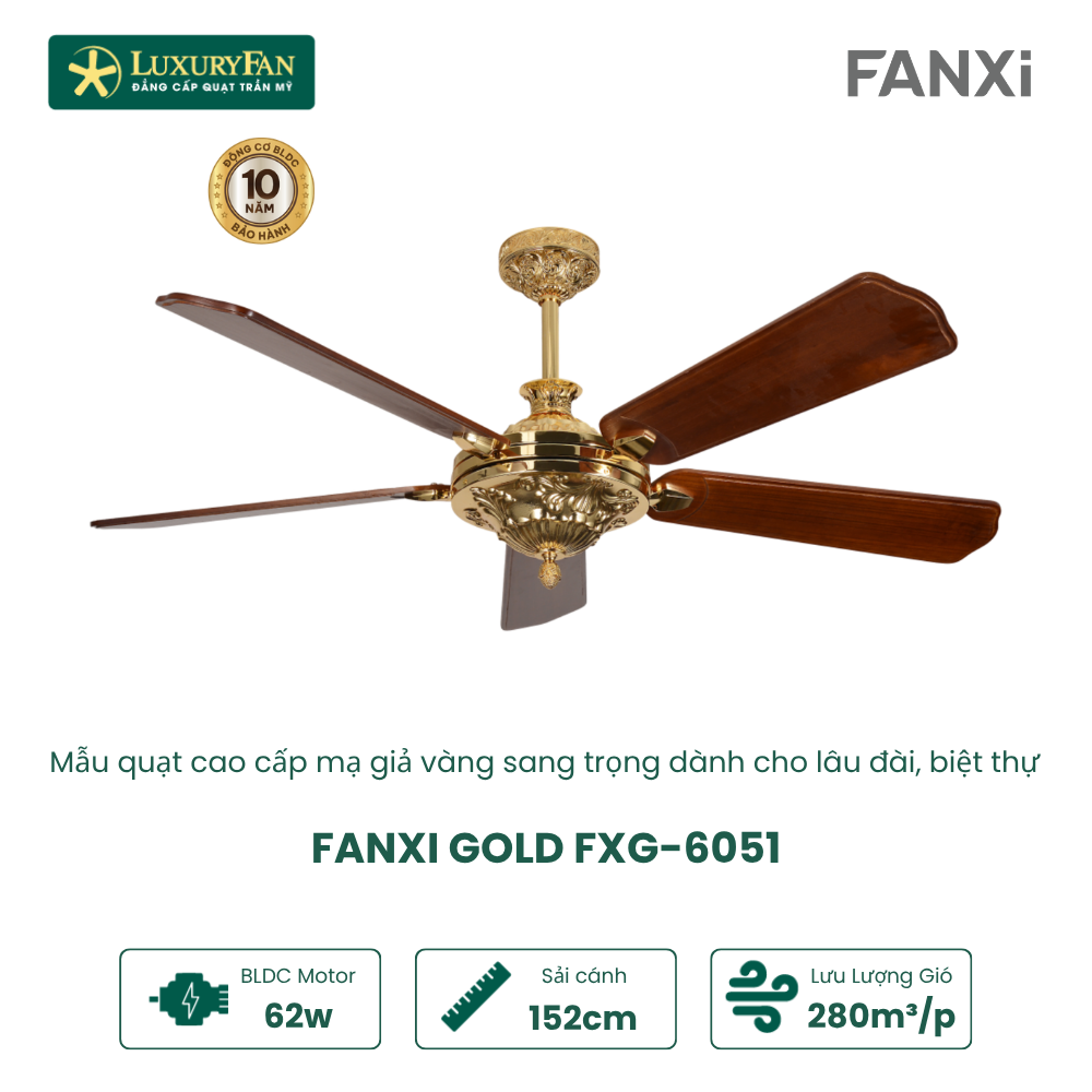 fanxi gold (2)