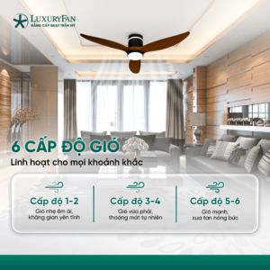 Gió mát lộng khắp không gian