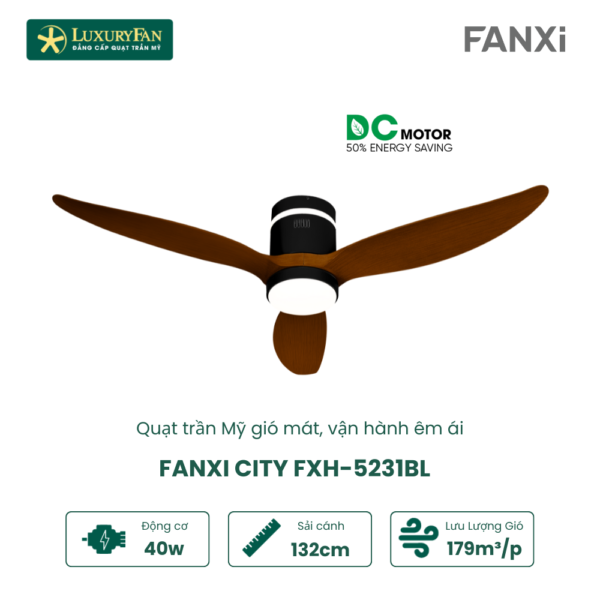 FANXI CITY