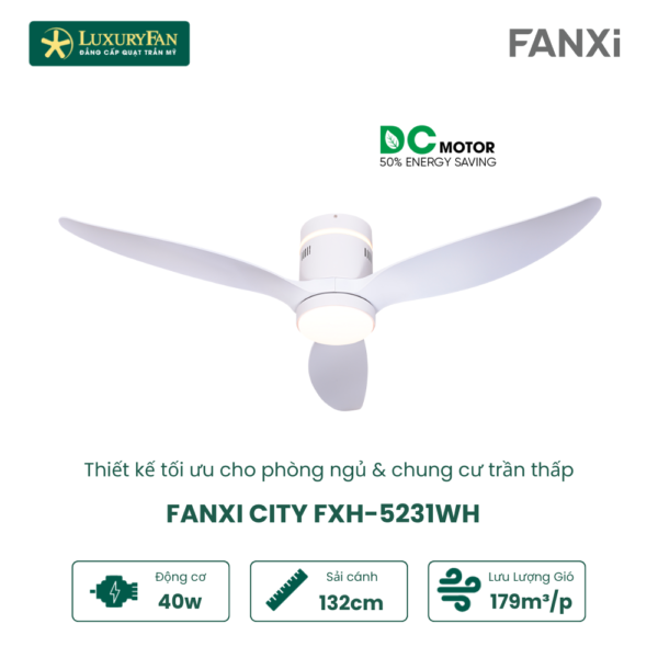 FANXI CITY