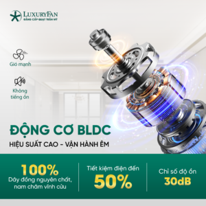 Động cơ DC 100% lõi đồng hiệu suất cao