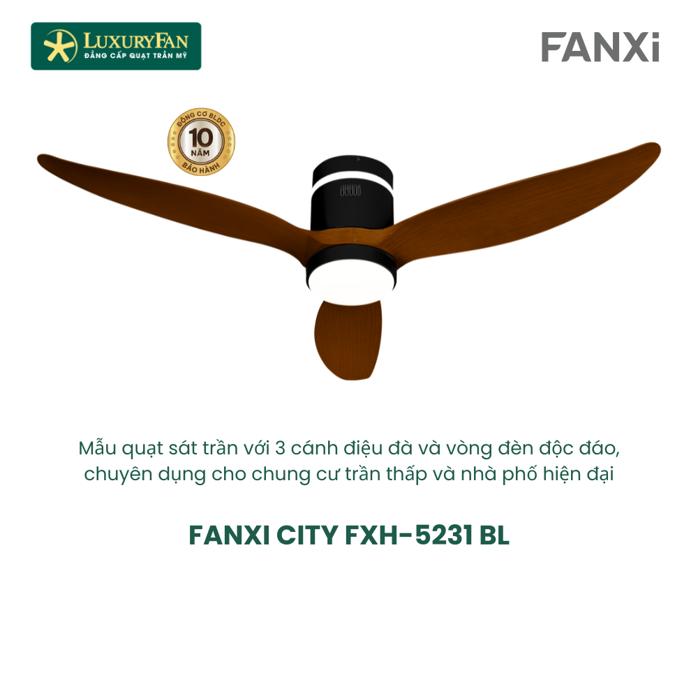 FANXI CITY FXH-5231 (2)