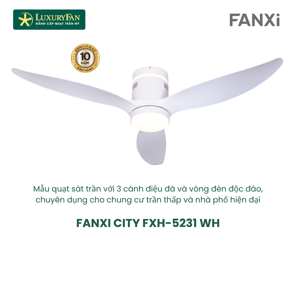 FANXI CITY FXH-5231 (3)