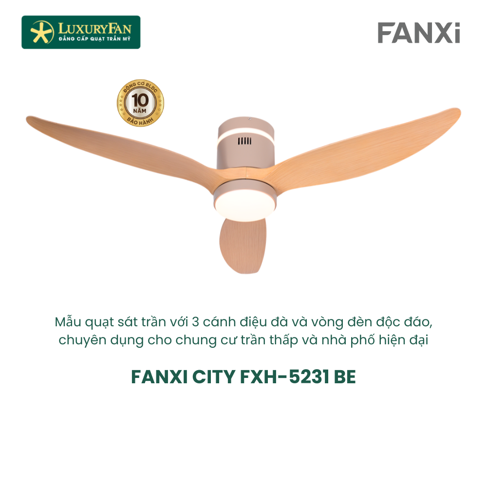 FANXI CITY FXH-5231
