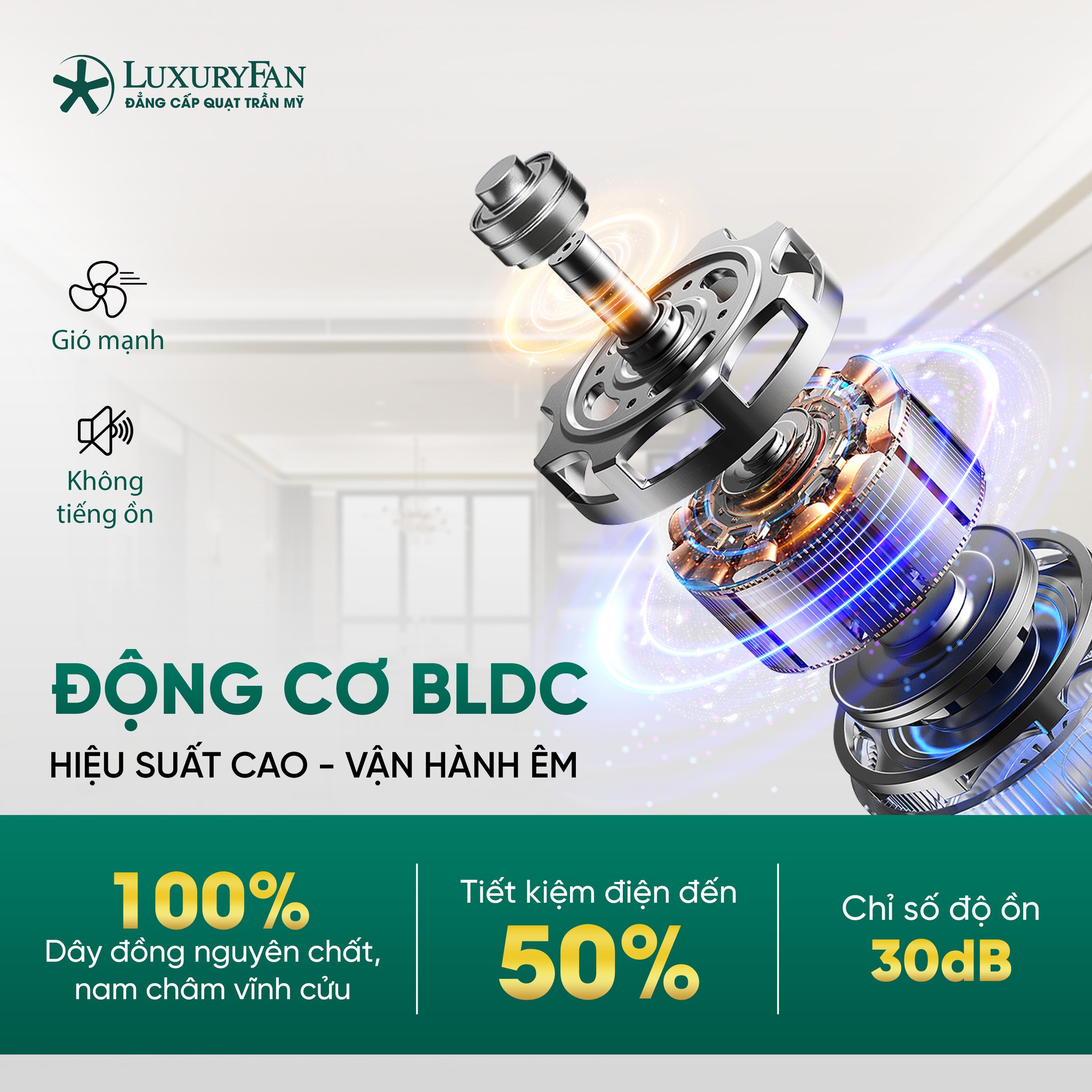 Động cơ DC 42W thế hệ mới, hiệu suất cao