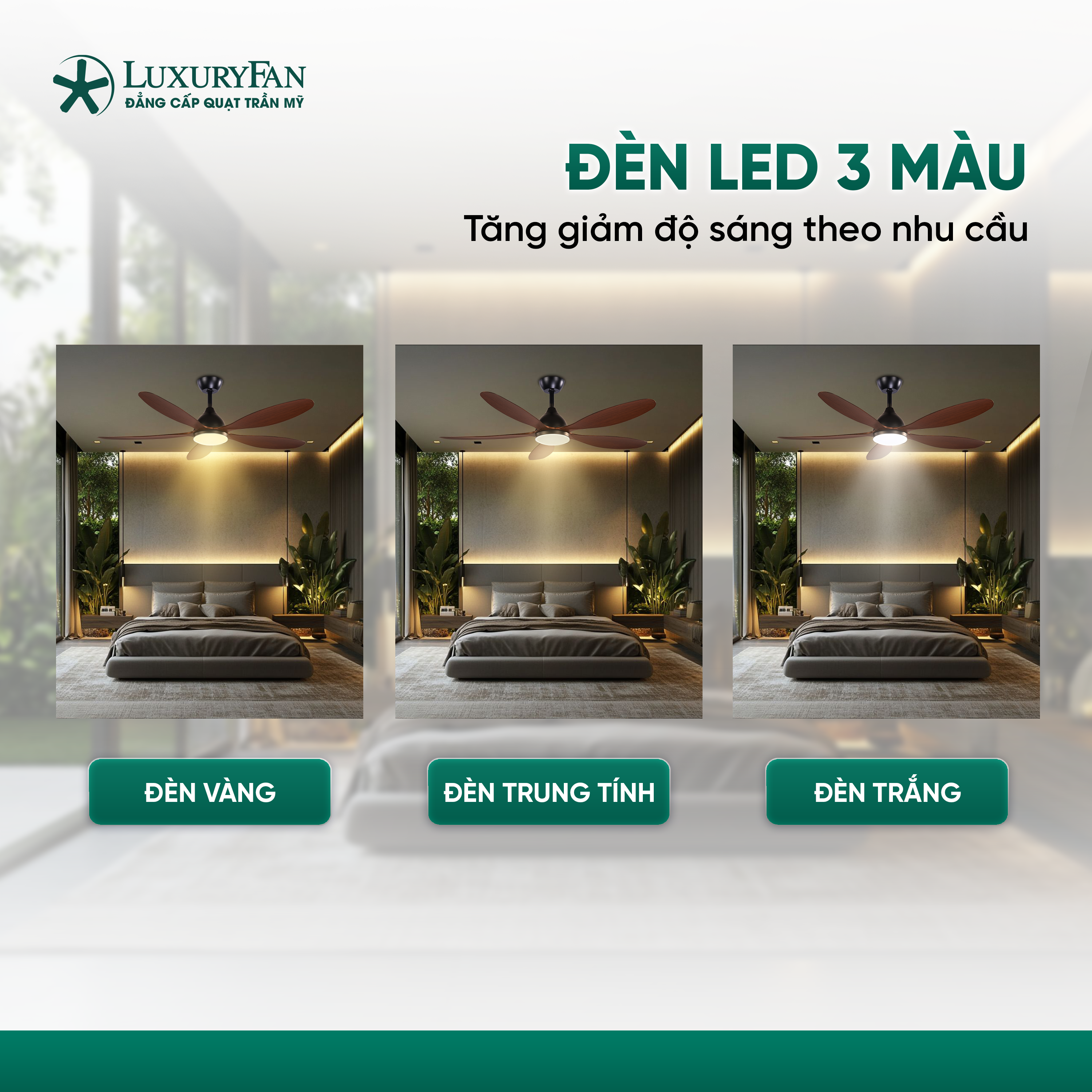 Đèn LED 3 chế độ màu tiện lợi