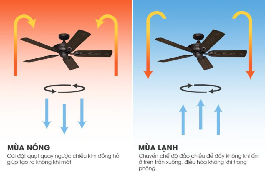 Quạt trần đảo chiều giúp điều hòa không khí thông thoáng hơn