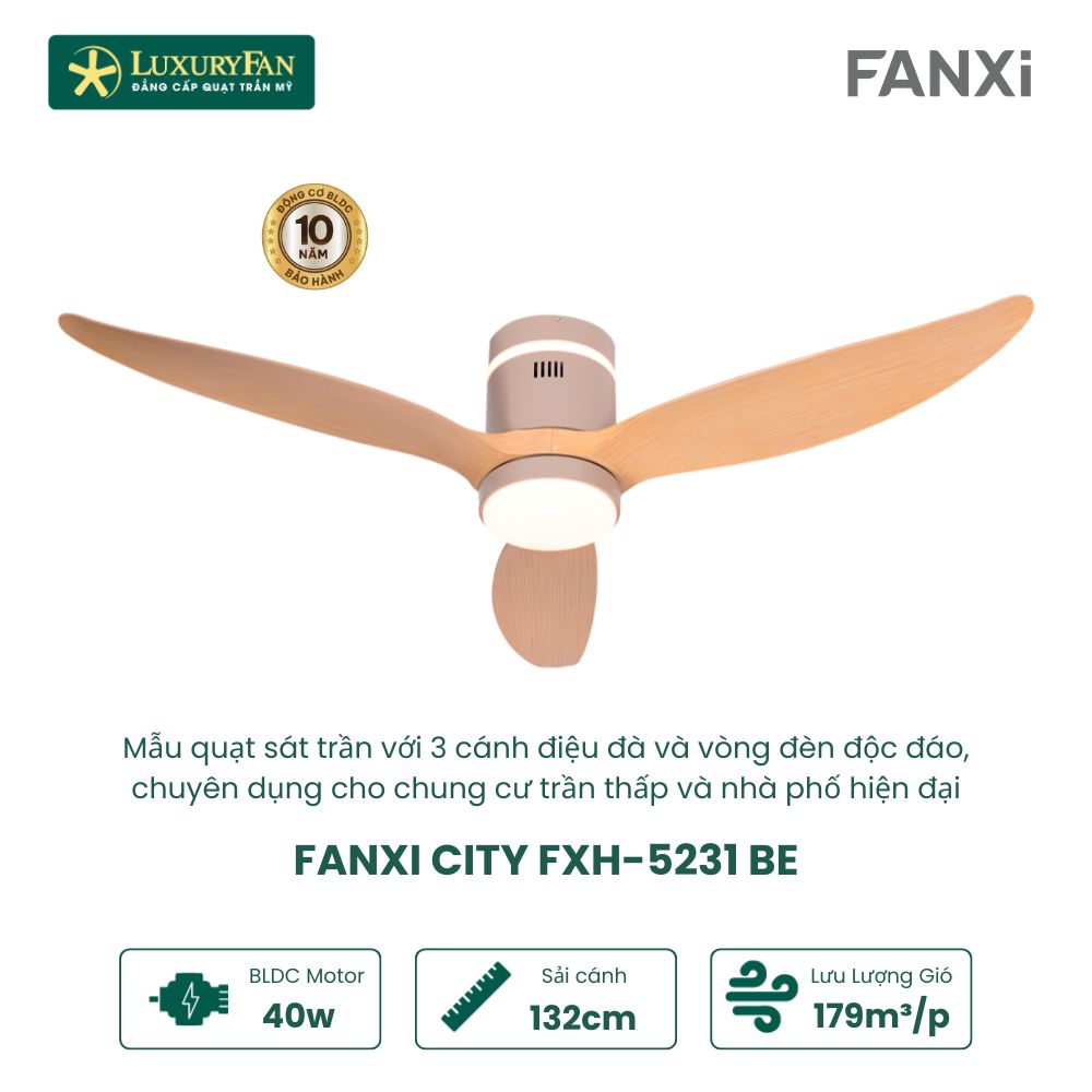FANXI CITY FXH-5231 (2)