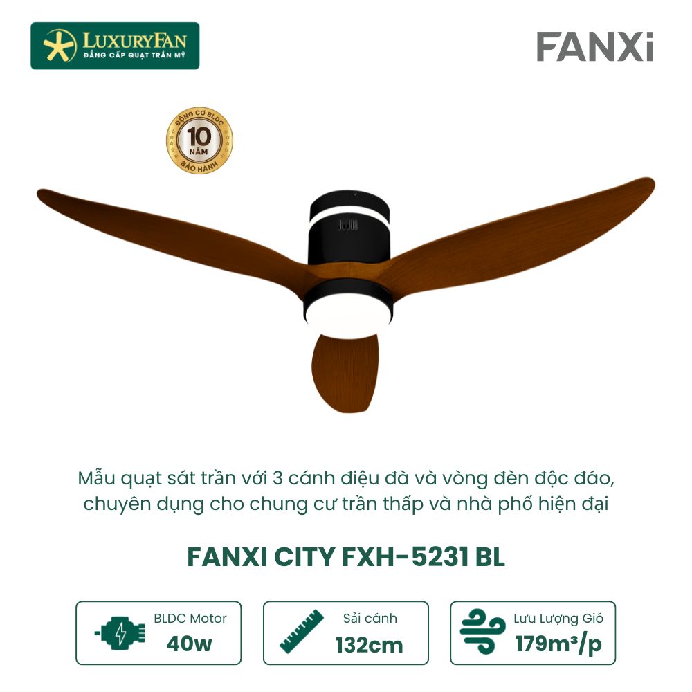 FANXI CITY FXH-5231 (4)