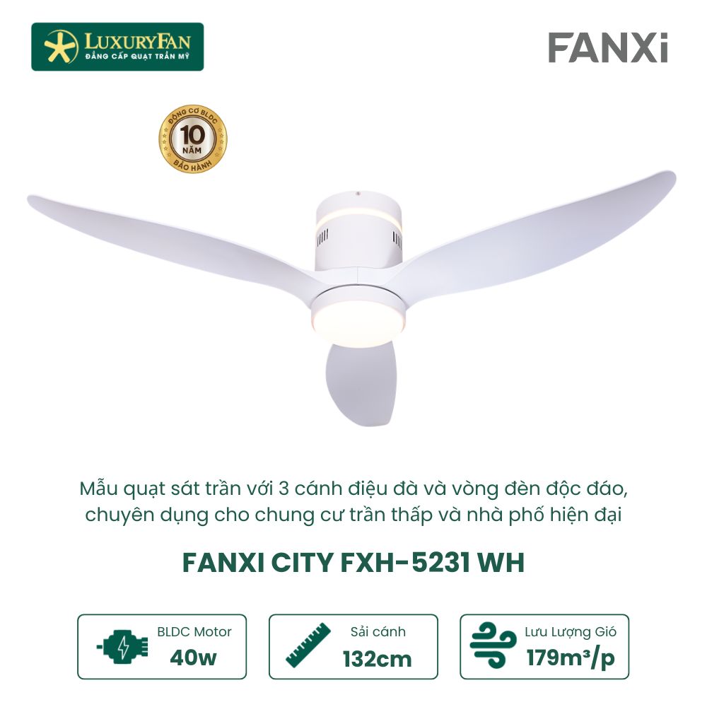 FANXI CITY FXH-5231 (6)