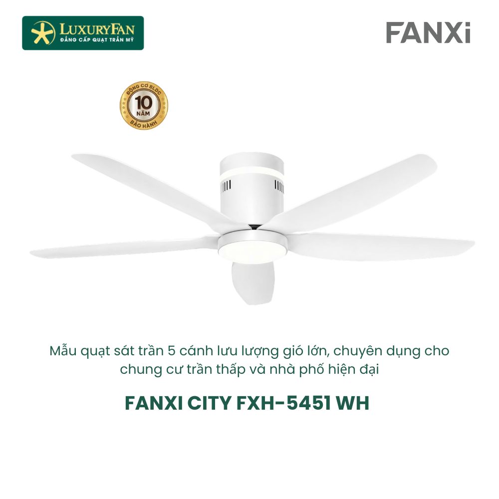 FANXI CITY FXH-5451 (5)