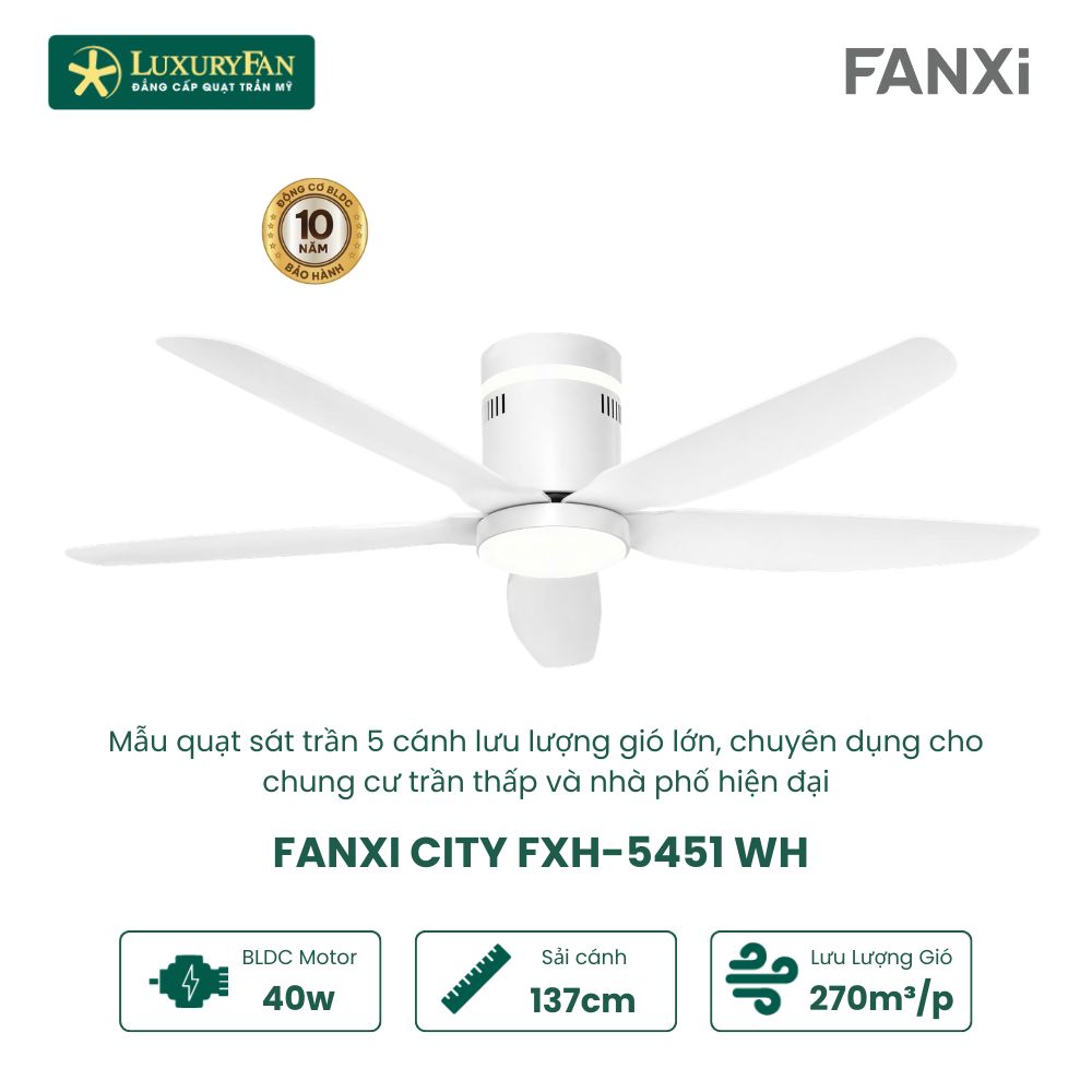 FANXI CITY FXH-5451 (6)