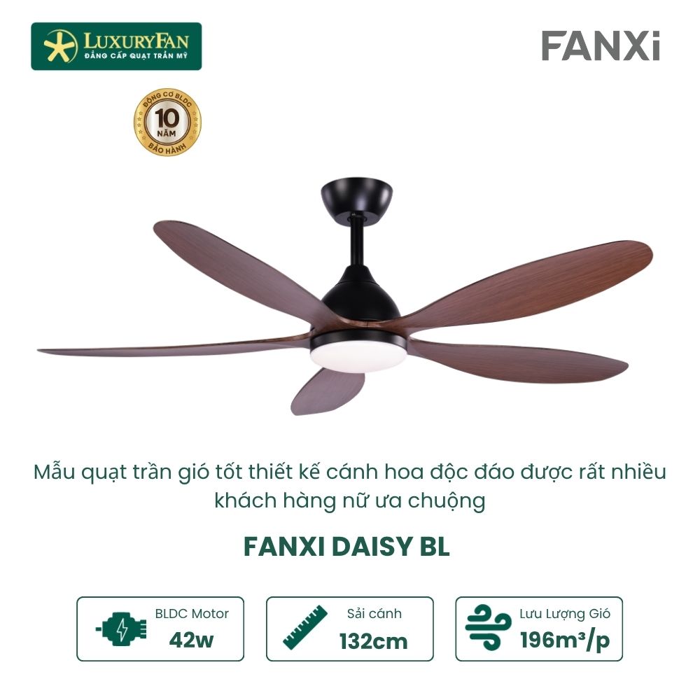 FANXI DAISY (2)