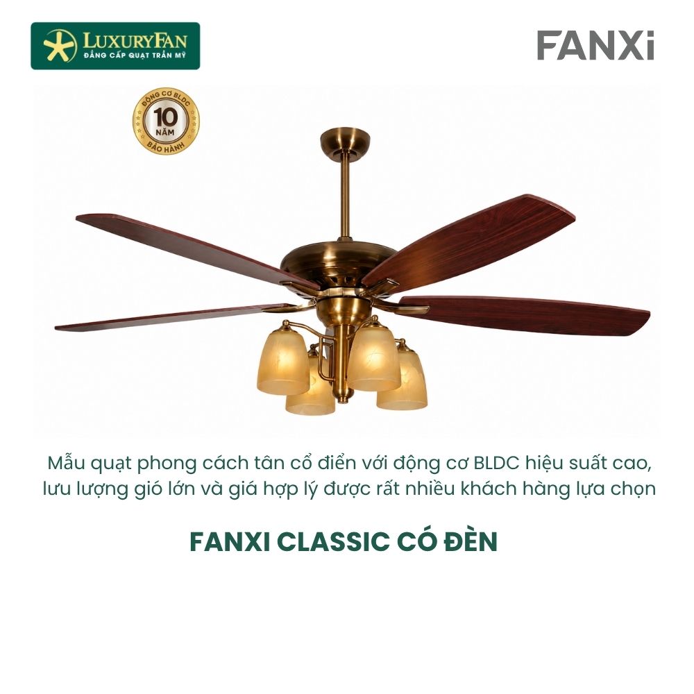 Fanxi Classic (3)