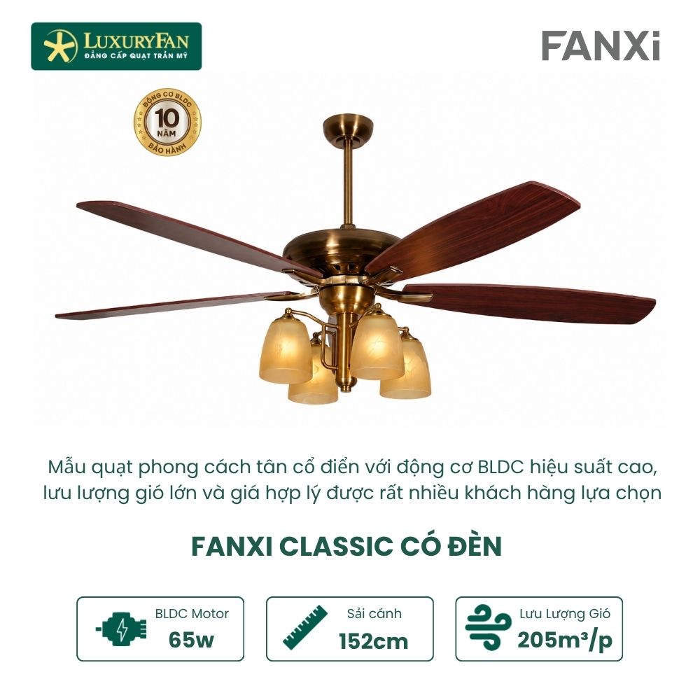 Fanxi Classic (4)