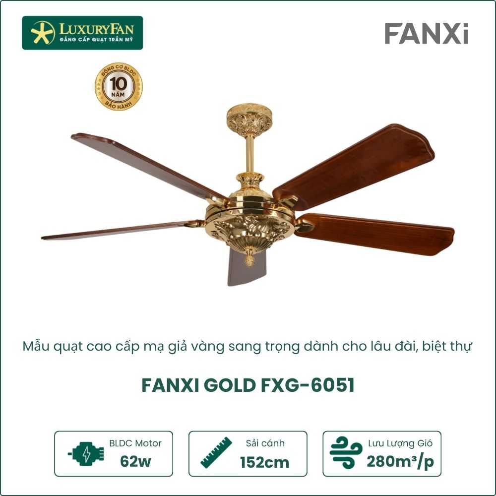 fanxi gold (2)