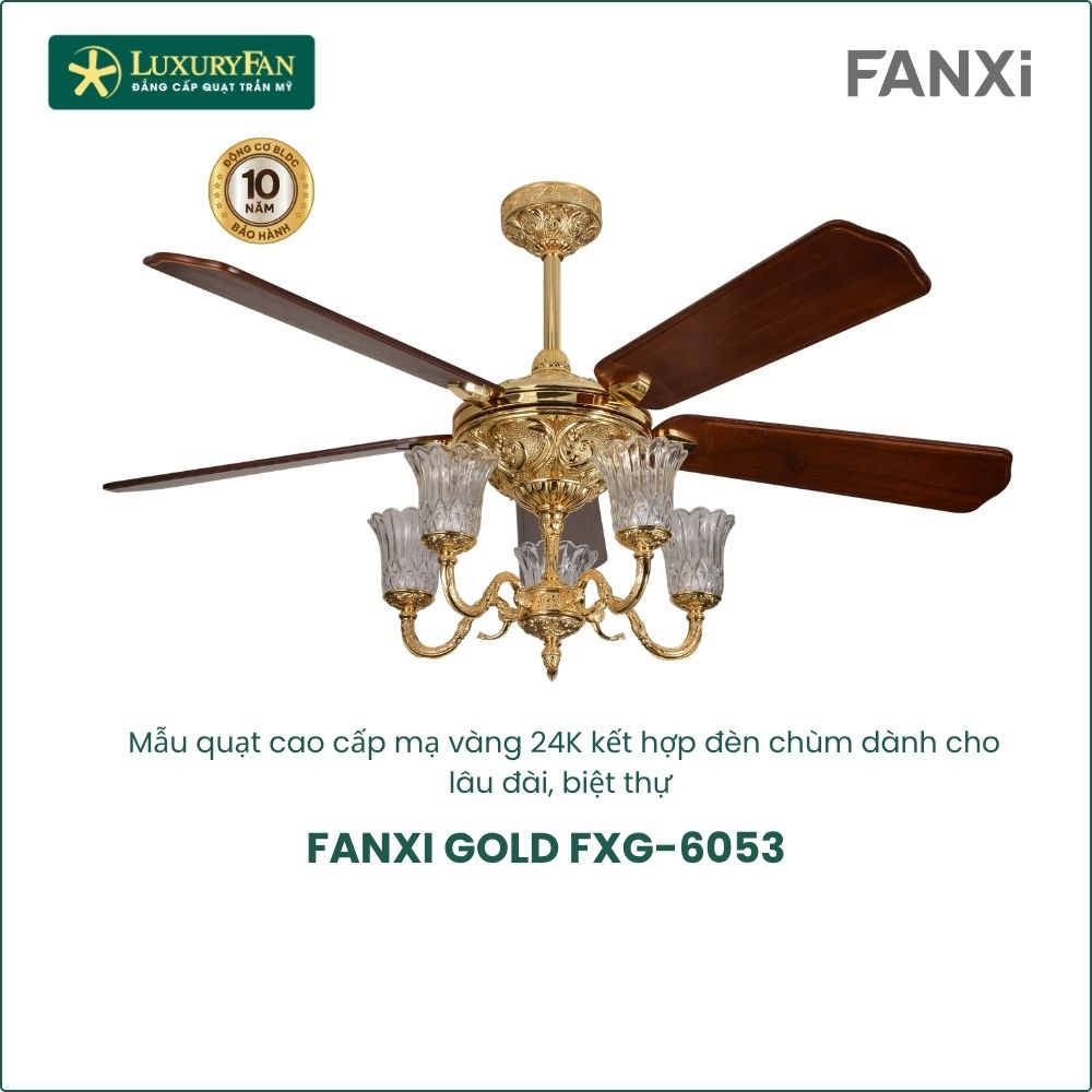 fanxi gold (3)