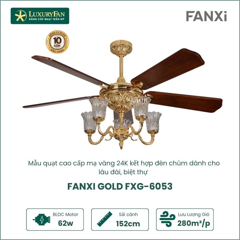 fanxi gold (4)