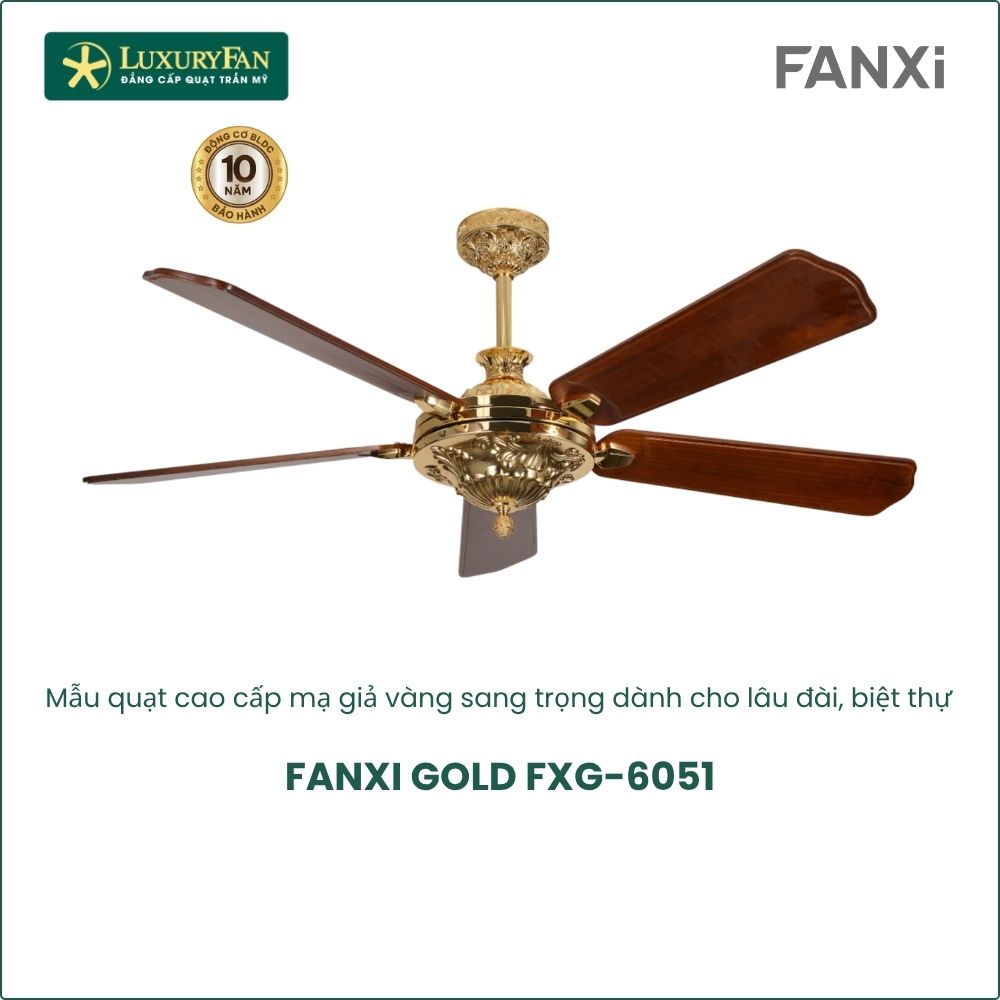 fanxi gold
