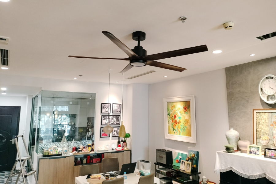 Showroom LuxuryFan cung cấp quạt trần chính hãng giá tốt